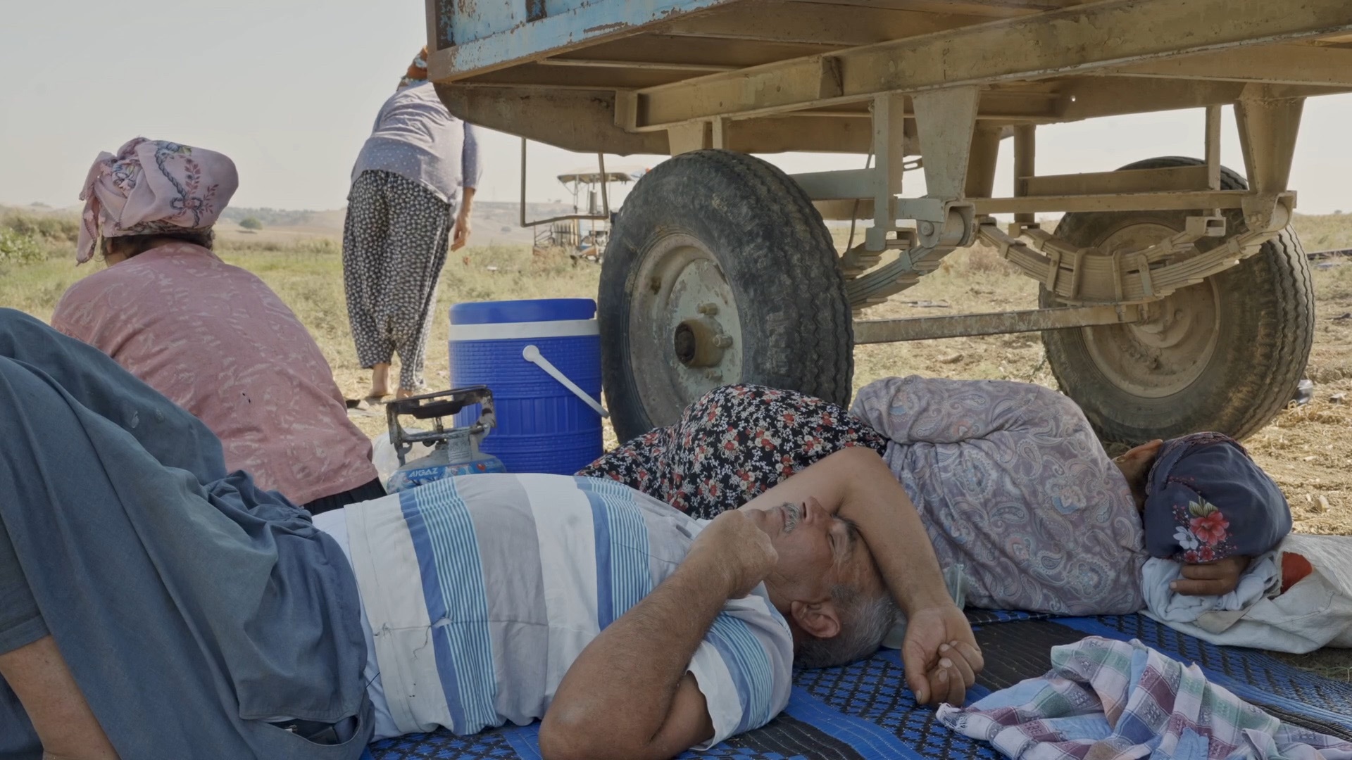 Domates Biber Depresyon görsel 0